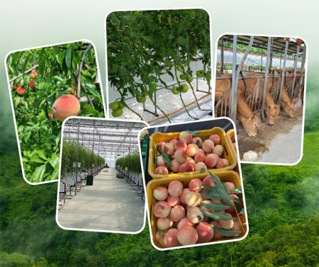 บริการ ประกาศ งานประเทศอิสราเอล งานประเทศเกาหลีใต้ รับจัดหางาน ไม่หลอกลวงทำงานต่างประเทศถูกกฎหมาย งานสวนประเทศออสเตรเลีย