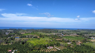 ที่ดิน ขาย เหมาะทำบ้านพักตากอากาศ ซื้อที่ดินโคกกลอยเจ้าของขายเอง ที่ดินเปล่าโคกกลอยโฉนดพร้อมโอน ใกล้สนามบินภูเก็ตใกล้ทะเล ขายที่ดินใกล้หาดนาใต้ไม่เกินล้าน