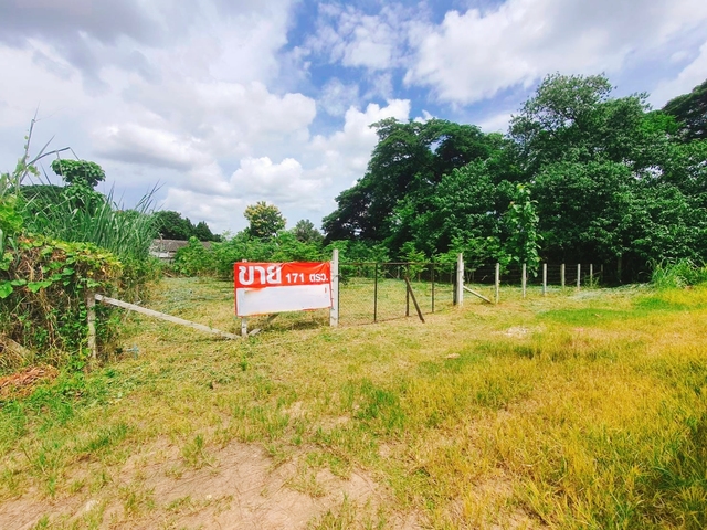 ขาย ที่ดิน ยินดีรับนายหน้า เหมาะสร้างบ้านเช่าทำออฟฟิศ ใกล้ทั้งเมืองสนามบินและศูนย์การค้า เหมาะสร้างบ้านอพาร์ตเมนต์หอพัก บ้านป่าพร้าวนอกซอย6วงแหวนรอบ1