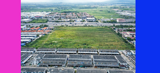 ที่ดิน ขาย ใกล้โลตัสบ้านบึง ราคาถูกสุด เหมาะทำหมู่บ้าน ติดถนน344 ที่ดินชลบุรี30ไร่